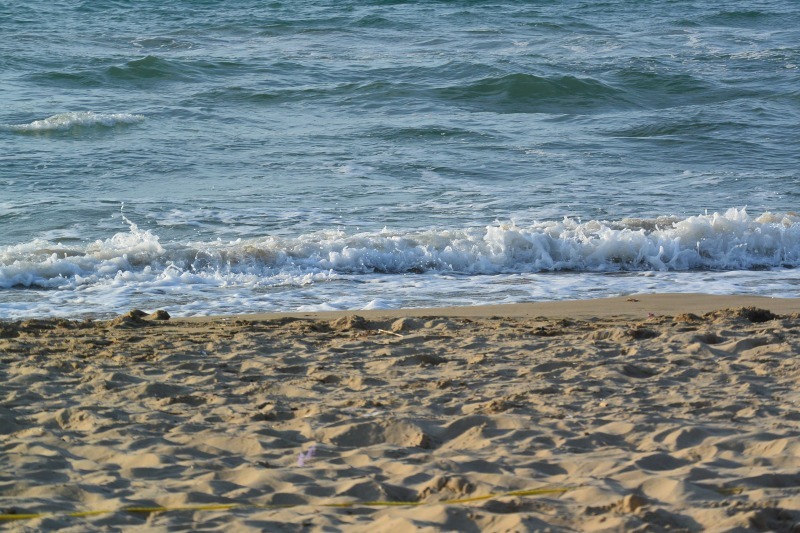 DSC_0588