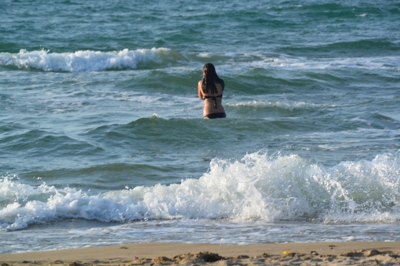 DSC_0589