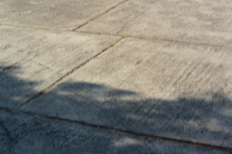 DSC_0610