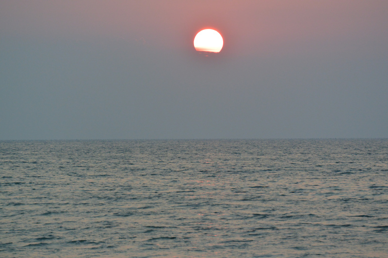DSC_1397