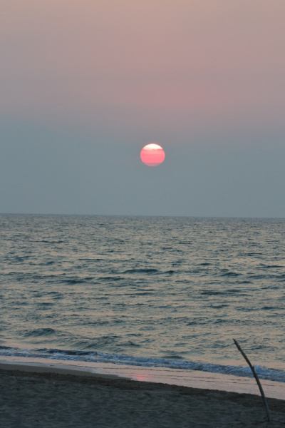 DSC_1400