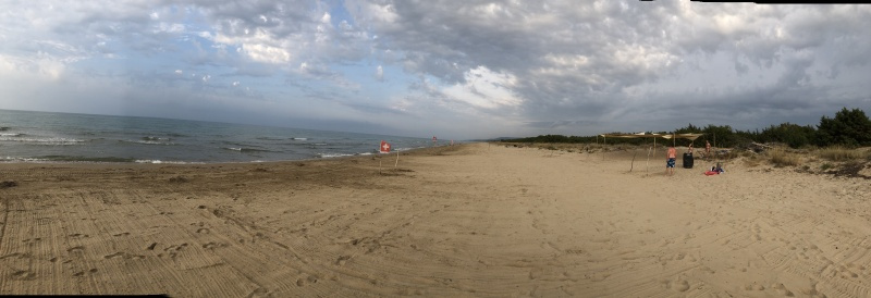 Beachcamp_2018-358