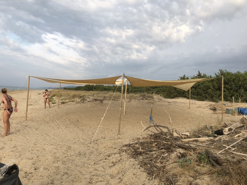 Beachcamp_2018-361