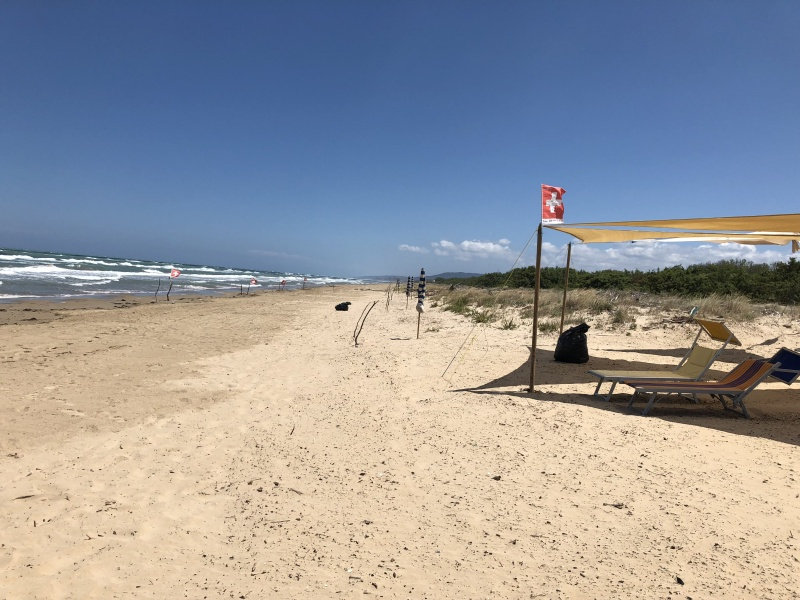 Beachcamp_2018-369