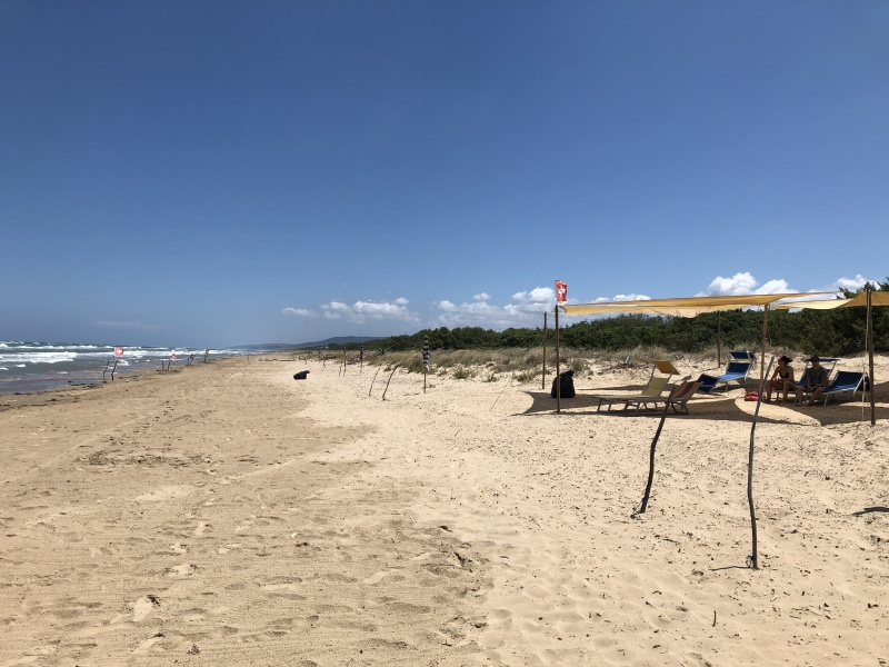 Beachcamp_2018-370