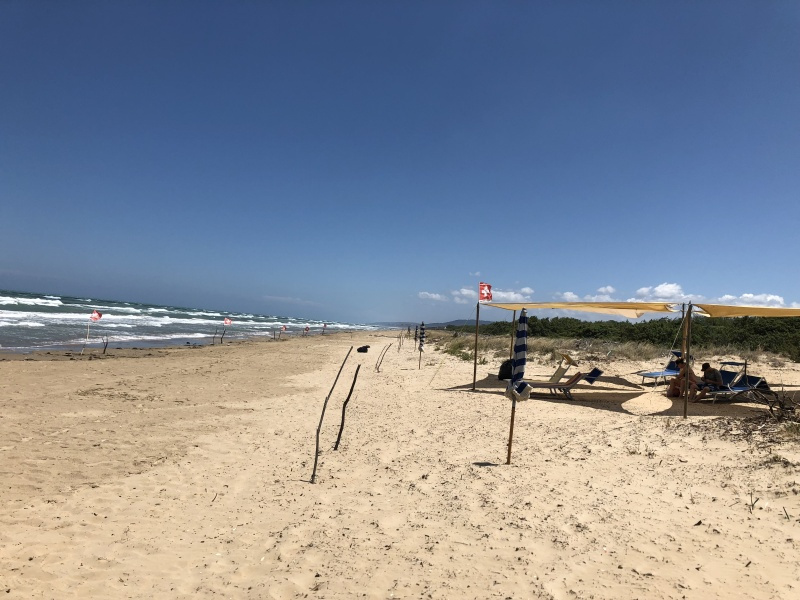 Beachcamp_2018-372