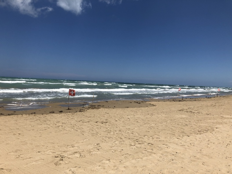 Beachcamp_2018-373