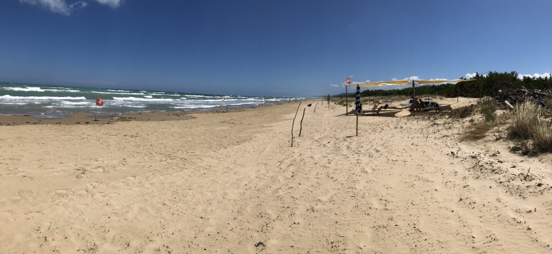 Beachcamp_2018-374