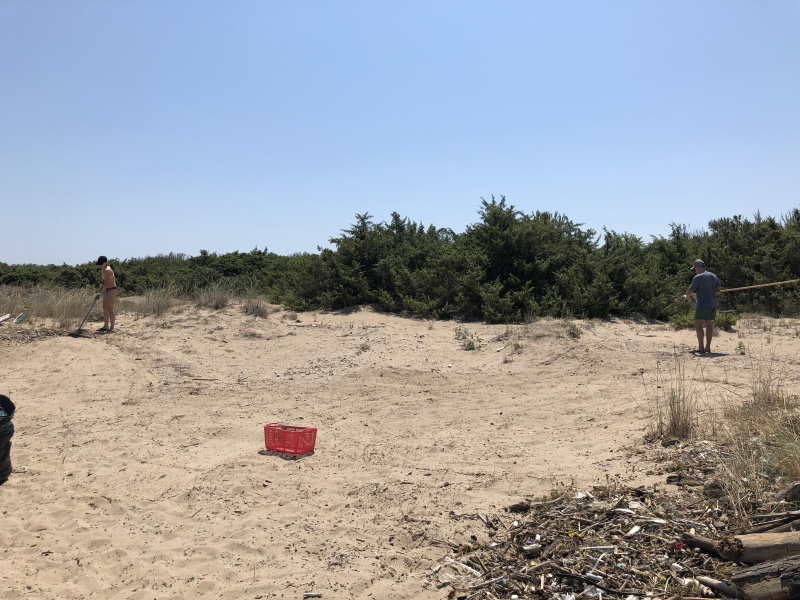 Beachcamp_2019-645