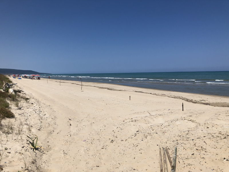 Beachcamp_2019-647