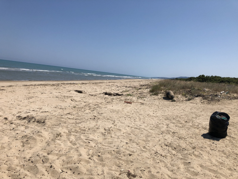 Beachcamp_2019-648