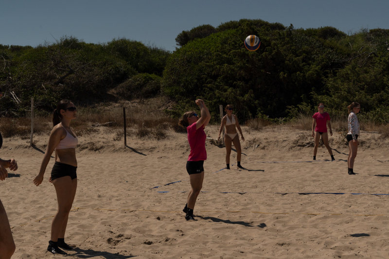 Miggi-a7iv-747387